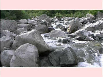 20100917455_thumb.jpg