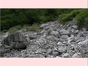 20100917459_thumb.jpg