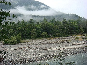 20100917476_thumb.jpg