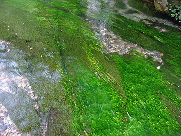 20100917488_thumb.jpg