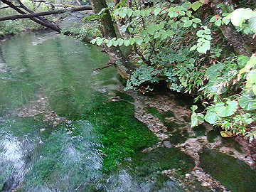 20100917491_thumb.jpg