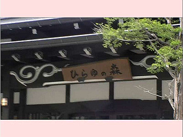 20100917500_thumb.jpg