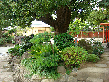 dsc05457_thumb.jpg