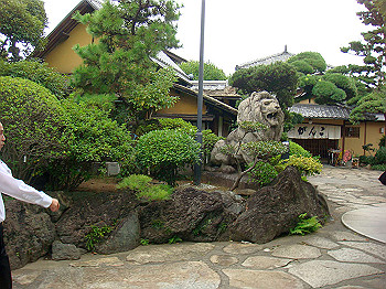 dsc05458_thumb.jpg