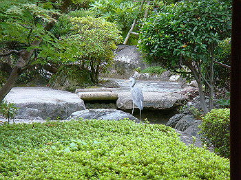 dsc05464_thumb.jpg