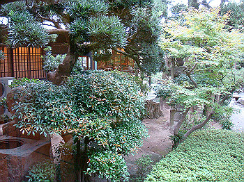 dsc05472_thumb.jpg