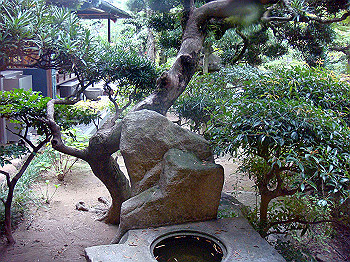 dsc05474_thumb.jpg