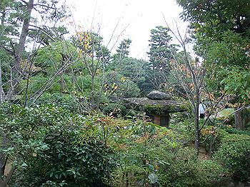 dsc05479_thumb.jpg