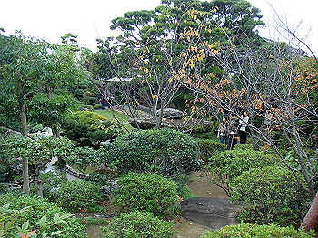 dsc05481_thumb.jpg