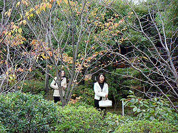 dsc05483_thumb.jpg