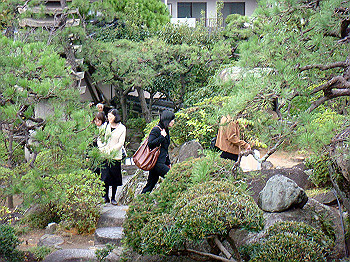 dsc05485_thumb.jpg