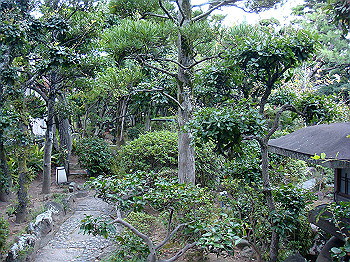 dsc05487_thumb.jpg