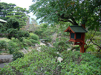 dsc05493_thumb.jpg