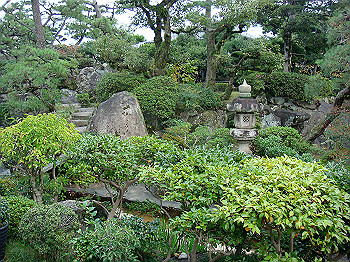dsc05501_thumb.jpg
