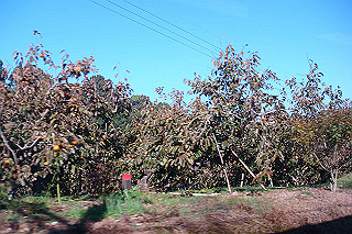 dsc05789_thumb.jpg