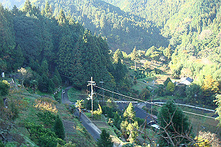 dsc05808_thumb.jpg