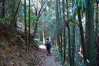 dsc05812_thumb.jpg
