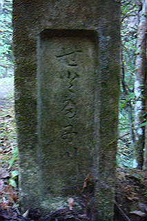 dsc05822_thumb.jpg