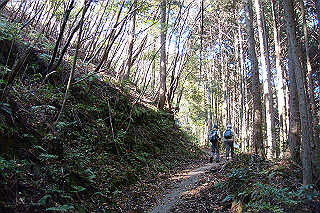 dsc05824_thumb.jpg