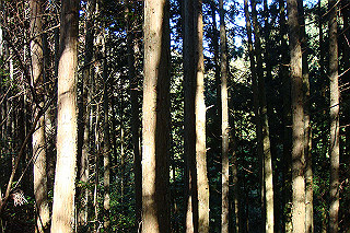 dsc05825_thumb.jpg