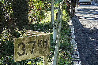 dsc05836_thumb.jpg