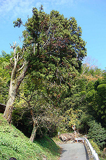 dsc05842_thumb.jpg