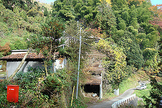 dsc05845_thumb.jpg