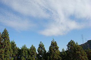 dsc05847_thumb.jpg