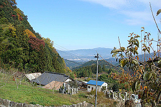 dsc05849_thumb.jpg