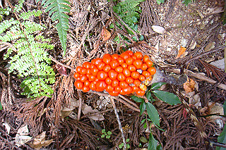 dsc05853_thumb.jpg