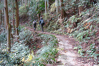 dsc05855_thumb.jpg