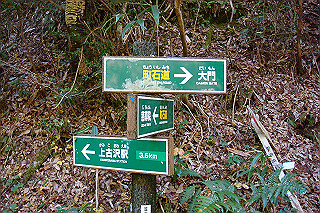 dsc05863_thumb.jpg