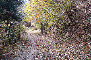 dsc05866_thumb.jpg