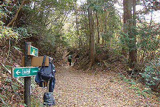 dsc05869_thumb.jpg