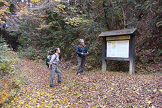 dsc05871_thumb.jpg