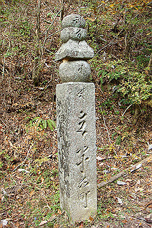 dsc05872_thumb.jpg