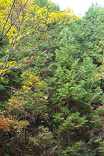 dsc05873_thumb.jpg
