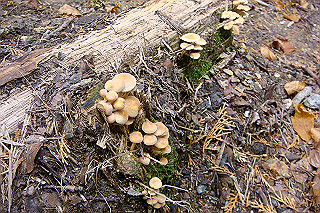 dsc05876_thumb.jpg