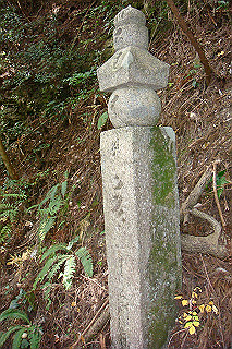 dsc05877_thumb.jpg