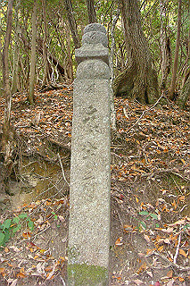 dsc05878_thumb.jpg