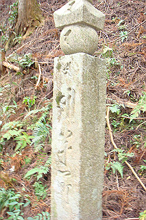 dsc05879_thumb.jpg