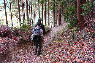 dsc05881_thumb.jpg