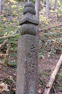 dsc05883_thumb.jpg
