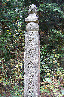 dsc05884_thumb.jpg