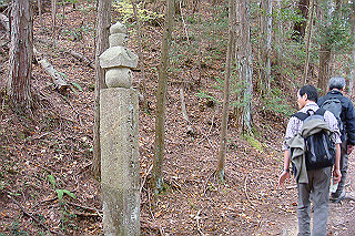 dsc05885_thumb.jpg