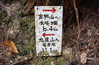 dsc05886_thumb.jpg