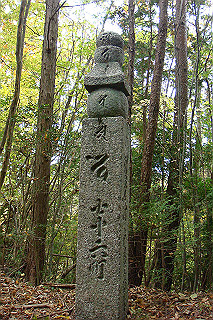 dsc05887_thumb.jpg