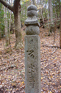 dsc05888_thumb.jpg