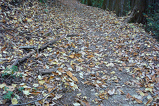 dsc05889_thumb.jpg