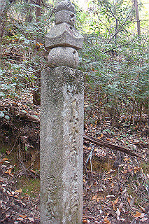 dsc05890_thumb.jpg